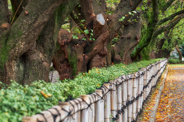 Similar image 21168913