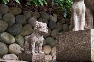 Similar image 21168914