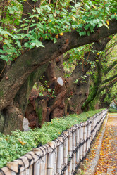 Similar image 21168915