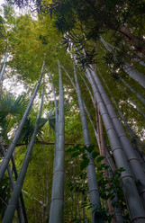 Similar image 21168916