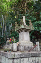 Similar image 21168920