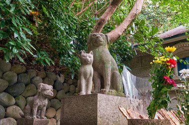 Similar image 21168924