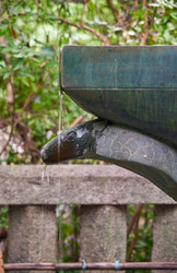 Similar image 21169014