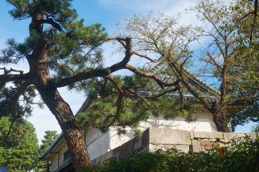 Similar image 21169018