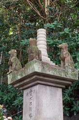 Similar image 21169021