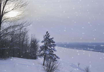 Similar image 21168595