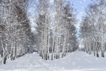 Similar image 21168596