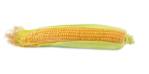 Similar image 21168598