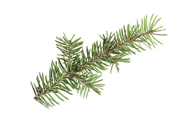 Similar image 21168634