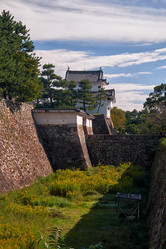 Similar image 21169024