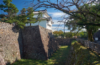 Similar image 21169026