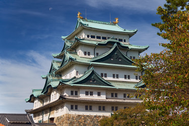 Similar image 21169031