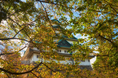 Similar image 21169032