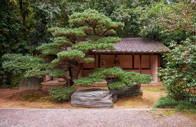 Similar image 21169034