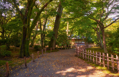 Similar image 21169035