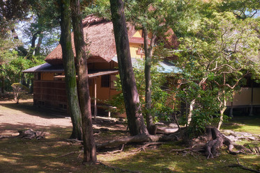 Similar image 21169036