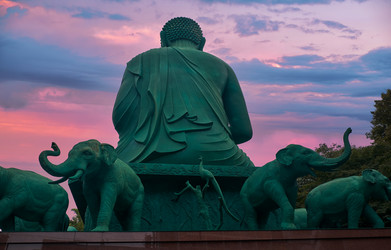 Similar image 21169040