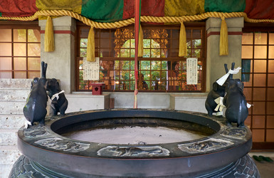 Similar image 21169041