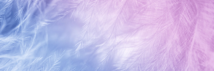 Similar image 21170082