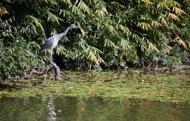 Similar image 21169072