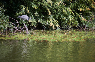 Similar image 21169075