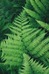 Similar image 21170085