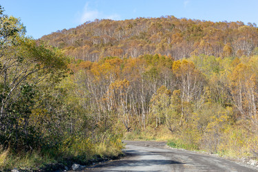 Similar image 21181941