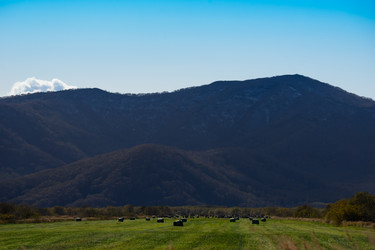 Similar image 21174296