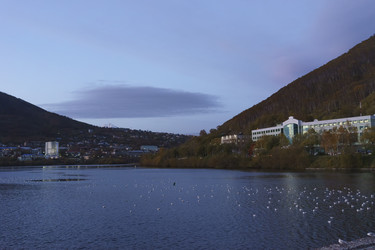 Similar image 21174300