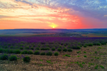 Similar image 21173870