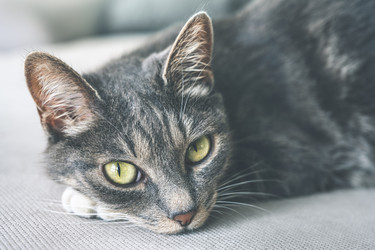 Similar image 21168817