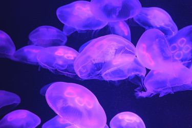 Similar image 21168689