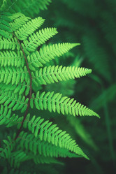 Similar image 21168692