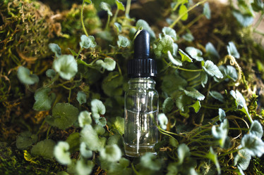 Similar image 21167064