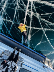 Similar image 21167069