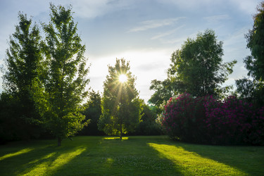 Similar image 21173930