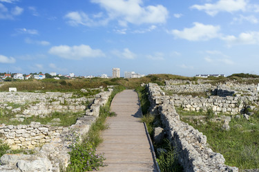 Similar image 21179510