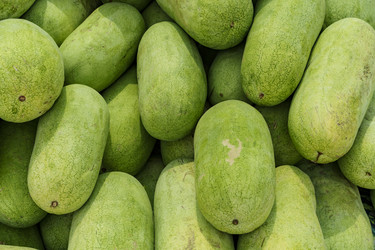 Similar image 21173939