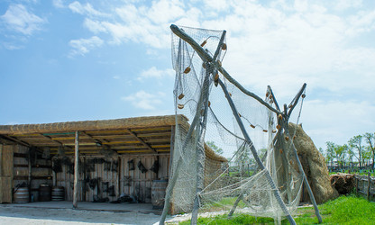 Similar image 21173951