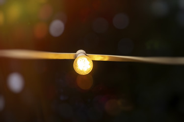 Similar image 21173956