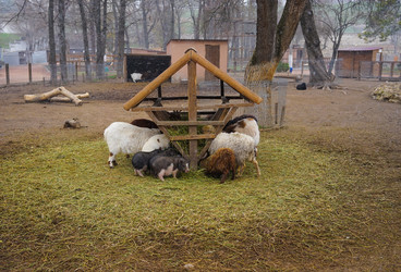 Similar image 21174106