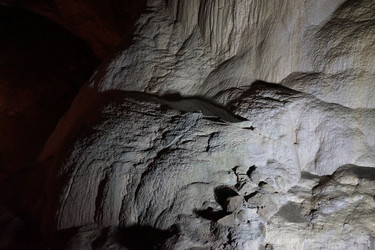 Similar image 21174113