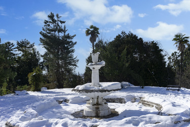 Similar image 21174116