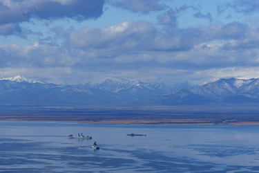 Similar image 21174311