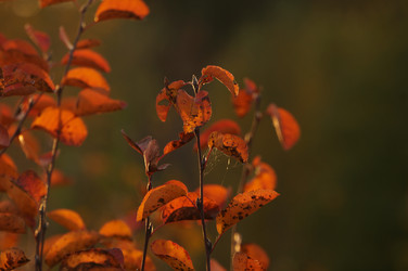 Similar image 21179702