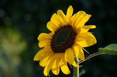 Similar image 21179704