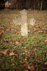 Similar image 21184454