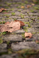 Similar image 21184455