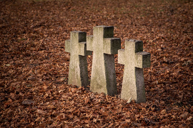 Similar image 21184457