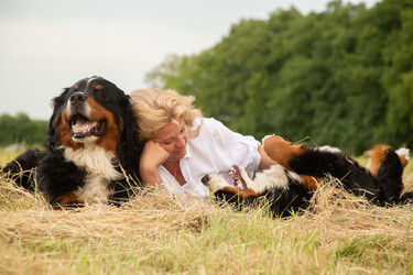 Similar image 21184483